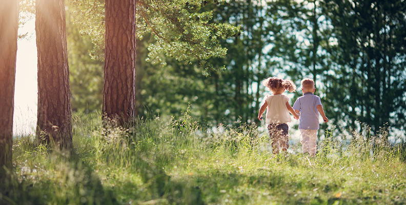 Naturreservat - bortglömd sommarpärla
